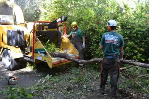 tree services Summerville